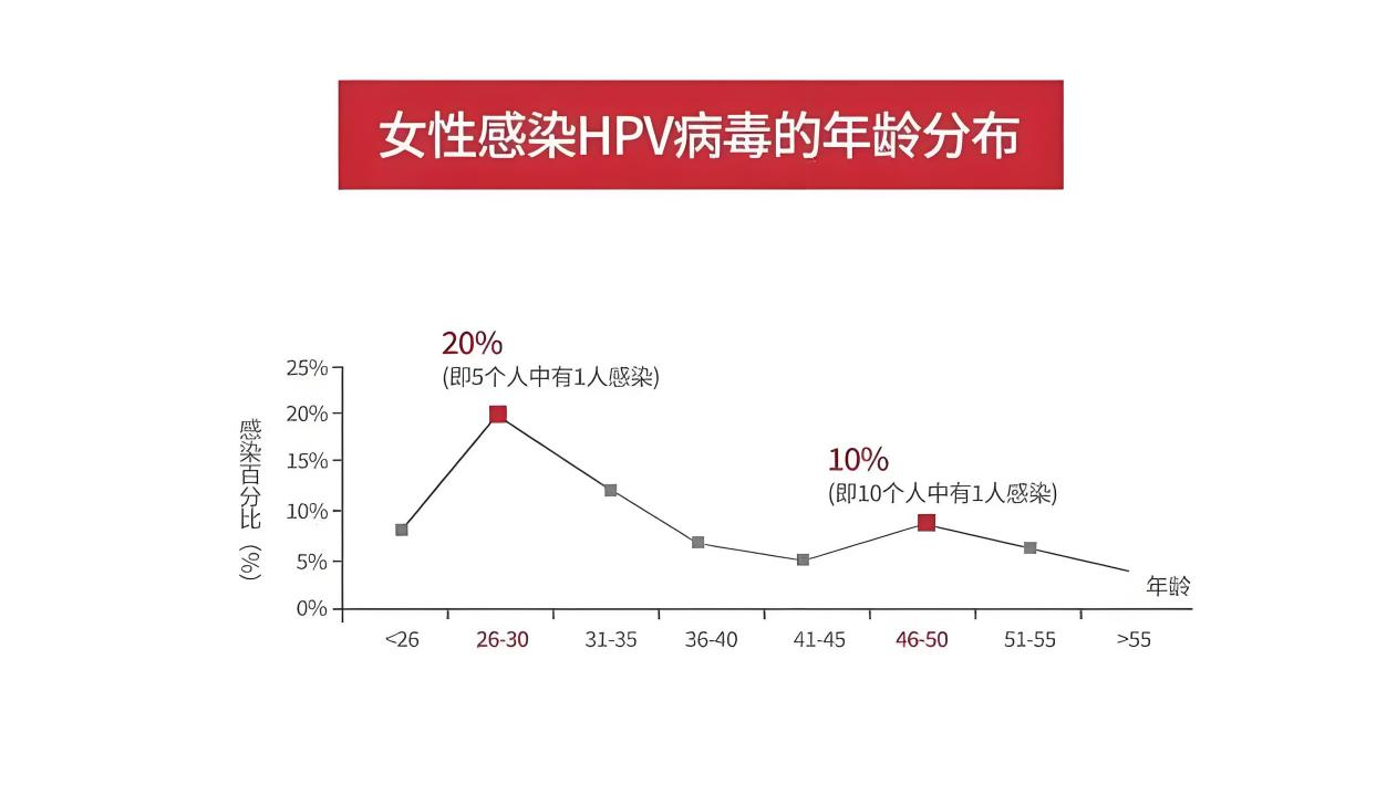 1784539920573249.png 图片1.png